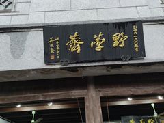 -野荸荠
