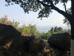 -火炉山森林公园
