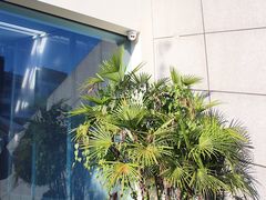 -UNIUNI(凯瑟琳广场店)