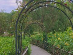 -神光山国家森林公园