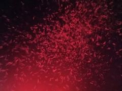 -欧米亚派对酒吧(绵阳店)