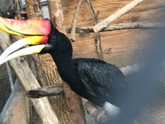 -清迈夜间动物园