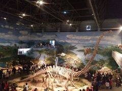 -自贡恐龙博物馆