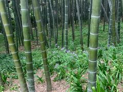 -杭州黄龙洞