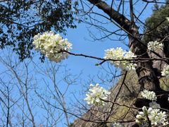 -鄣山大峡谷