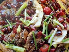 -老板恋上鱼(恒隆广场店)