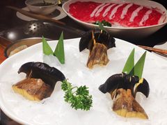 新鲜牛肝菌-渝利重庆火锅