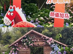 -天适樱花悠乐园