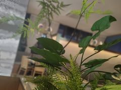 -马家斑.鲜鱼火锅(松湖万科店)