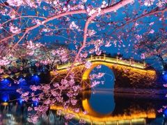 -无锡君来洲际酒店