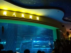-西双版纳原始森林公园