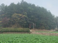 -韶山毛泽东同志故居