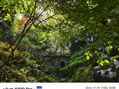 -莫干山风景区