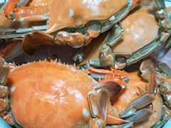 梭子蟹-青岛沙子口国家中心渔港