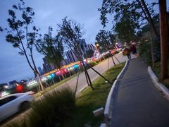 -三圣花乡旅游区