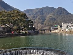 -鹿亭中村