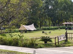 -白鹭湾湿地公园