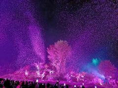 -常德桃花源景区