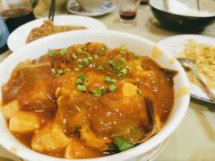 昂刺鱼烧豆腐-吉事利茶餐厅