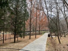-白水寺森林公园