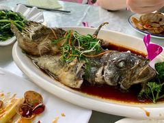 清蒸老虎斑-范饭椰林川湘味海鲜·椰子鸡(三亚湾椰梦长廊店)