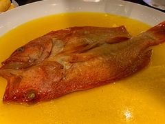 -甄御•海鲜新青岛菜(麦岛店)