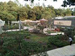 -清湖文化公园