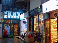 -猫咪博物馆(顶澳仔猫街店)