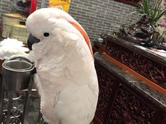 -四海楼(如皋定慧禅寺店)