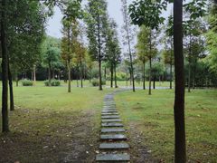 -眉山湿地公园(东坡区)