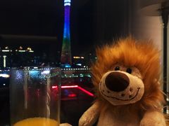 -广州富力丽思卡尔顿酒店