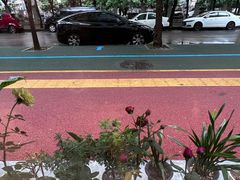 -闫涛羊杂可(总店)