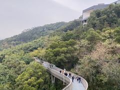 -福道