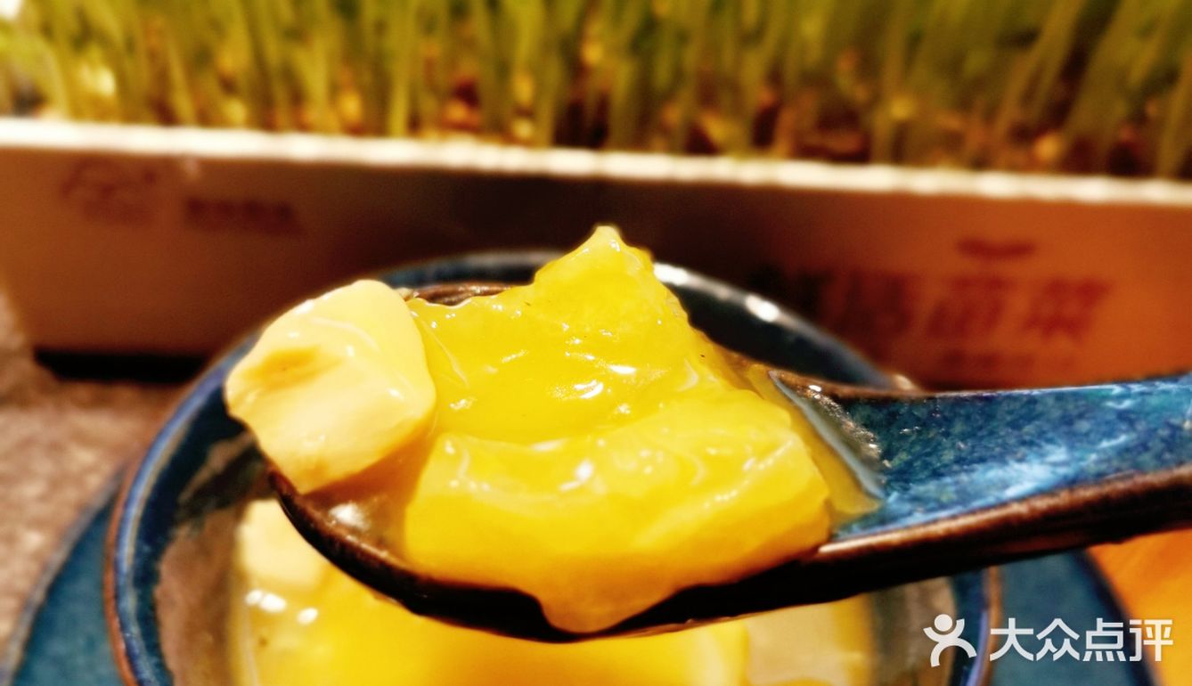 湊湊火锅yyds