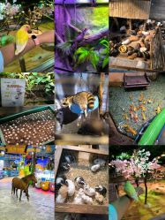 -酷嗒动物文化乐园(cutezoo西溪乐天城店)