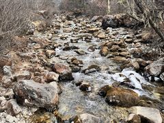 -稻城亚丁风景区-电瓶观光车售票处