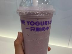 -一只酸奶牛(洪崖洞11楼店)