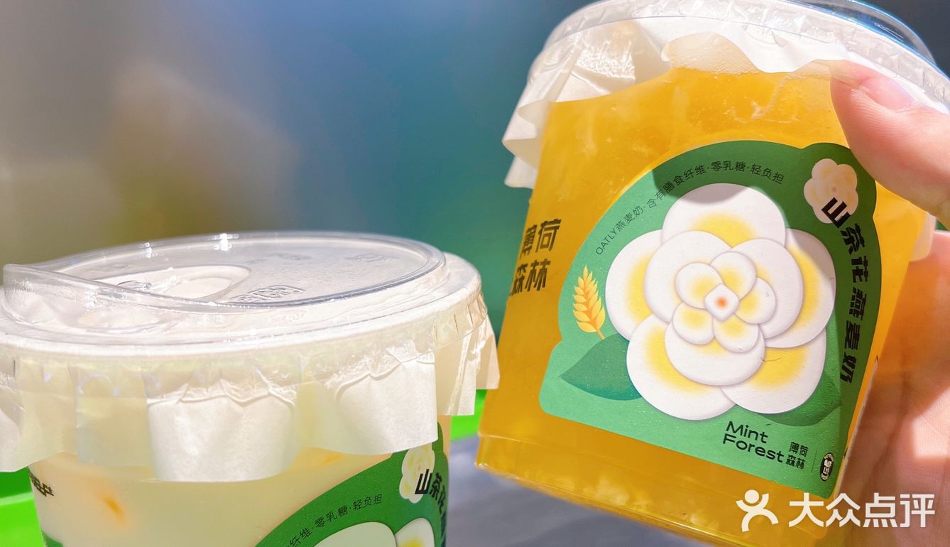 漳州探店 | 我的冬天不能没有「薄荷森林」❗