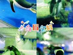 -郑州银基冰雪世界