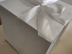 -BLACKSWAN黑天鹅(环球店)