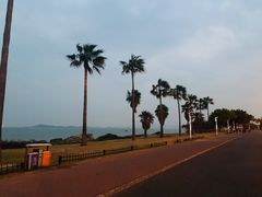 -椰风寨