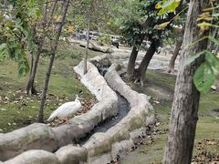 -哈尔滨北方森林动物园