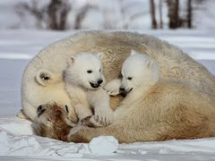 -罗红摄影艺术馆