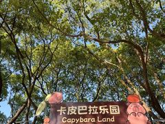 -上海野生动物园