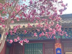 -潭柘寺景区