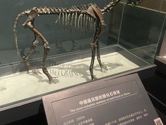 -大庆市博物馆