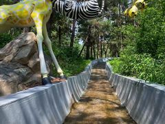 -沂蒙山旅游区云蒙景区(蒙山国家森林公园)
