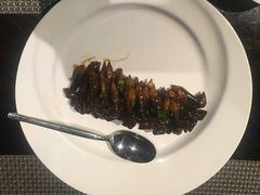 -上海中航虹桥机场泊悦酒店