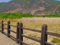 -泸沽湖国家级风景名胜区走婚桥