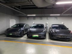 -TESLA 特斯拉(郑州正弘城体验店)